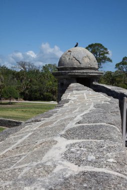 Florida 'da güneş altında kale
