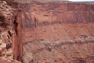 Kaya oluşumlu çöl manzarası