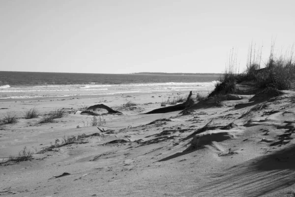 Orilla Del Mar Blanco Negro — Foto de Stock