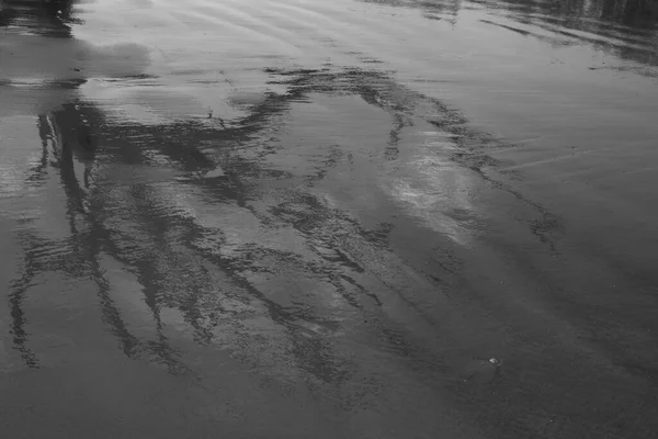 Baumglieder Spiegeln Sich Nassen Sand — Stockfoto