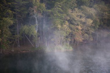 Kıyıdaki ağaçlar suya yansıyor