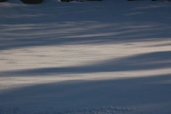 Invierno Las Nevadas Bajo Sol Sombra — Foto de Stock