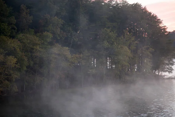 Arbres Sur Rive Reflétés Dans Eau — Photo