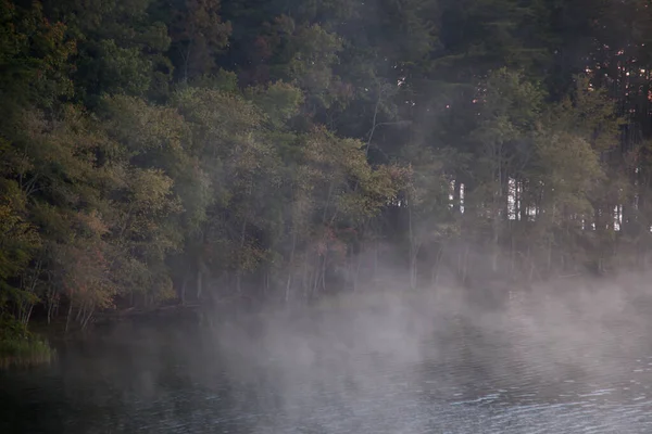 Arbres Sur Rive Reflétés Dans Eau — Photo