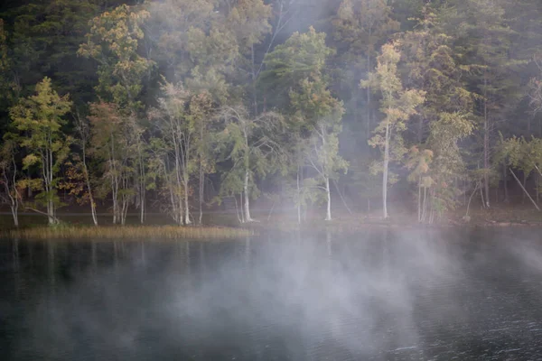 Arbres Extérieur Réfléchis Dans Eau — Photo