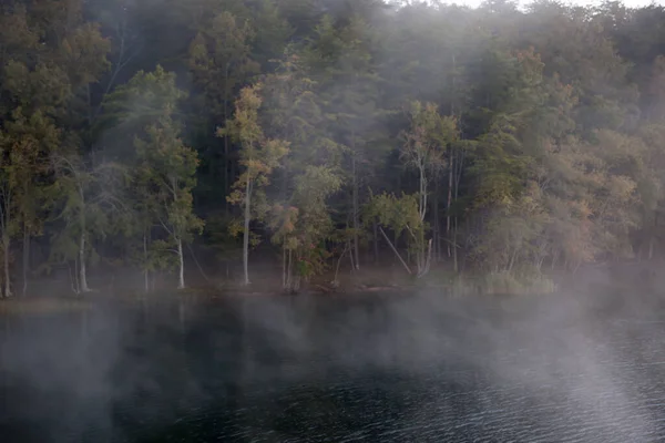 Arbres Extérieur Réfléchis Dans Eau — Photo