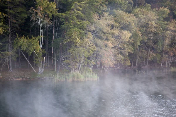 Les Arbres Reflètent Dans Eau — Photo