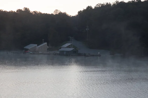 Дерева Відображаються Воді — стокове фото