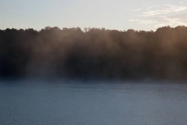 Les Arbres Reflètent Dans Eau — Photo