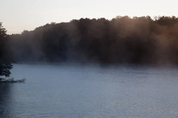 Trees Being Reflected Water — Stock Photo, Image