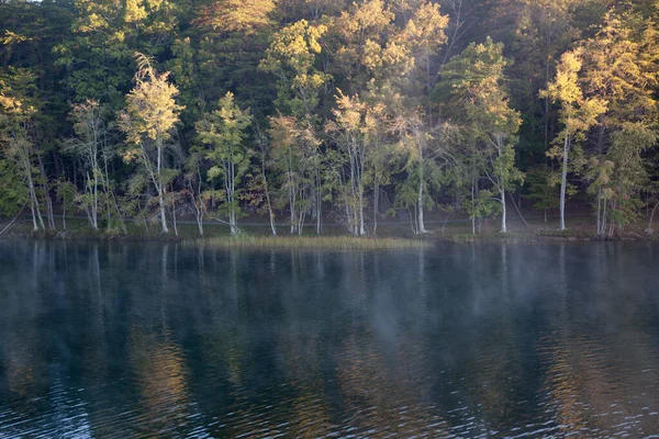 Les Arbres Reflètent Dans Eau — Photo