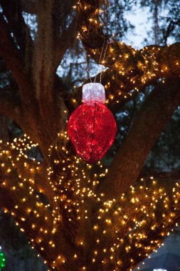 Ağaçtaki Noel ışıkları