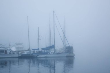 Yelkenliler sabah sisli demirledi