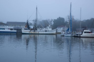 Sabah Sisi 'nde yelkenli.