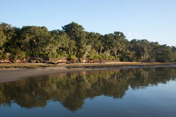 Arbres Réfléchis Dans Eau — Photo