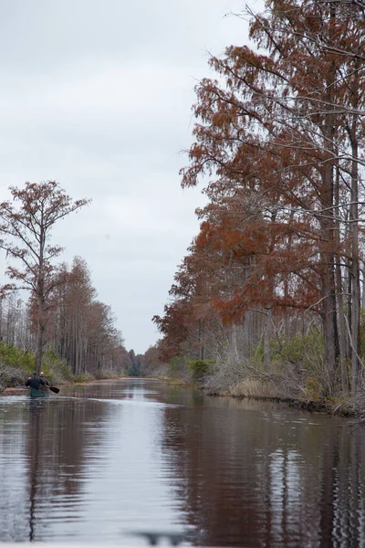 Marais Avec Des Arbres Reflétés Dans Eau — Photo