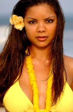 Sarı 3 bikini - sarı çiçek - sarı hawaiian leis - birçok pozlar parça.