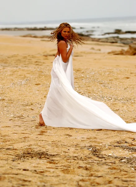 Playful mieze auf die strand — Stockfoto