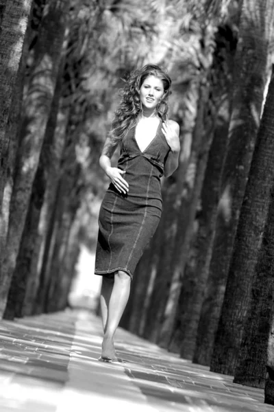 Blanco y Negro - Vestido Jean Azul - Palm Tree Runway — Foto de Stock