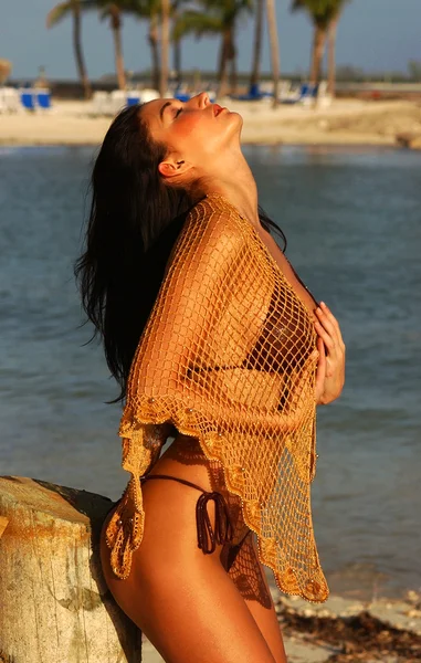 Skimpy String Brown Bikini - Impresionante Morena - Gold Mesh Wrap — Foto de Stock