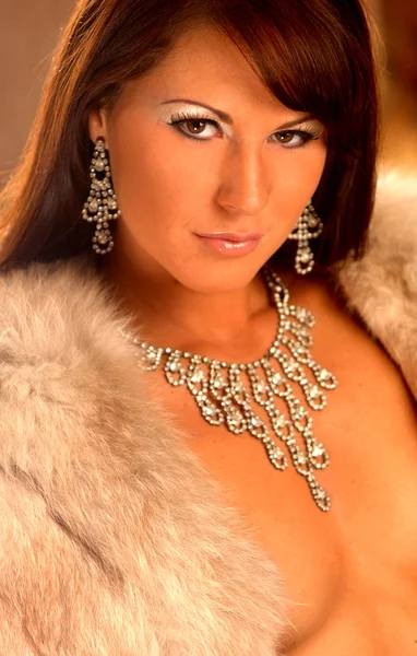 Sexy kožešinové ukradl - stříbrné šperky - ohromující brunette — Stock fotografie