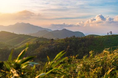 Doğanın arka plan manzarası ve dağ gündoğumu zamanı.