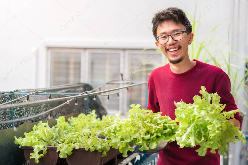 Asian man gardener holding organic salad plant in plastic plant pot, Vegetable gardening at home, Selective focus, Copy space, farming and growing your own food concept.