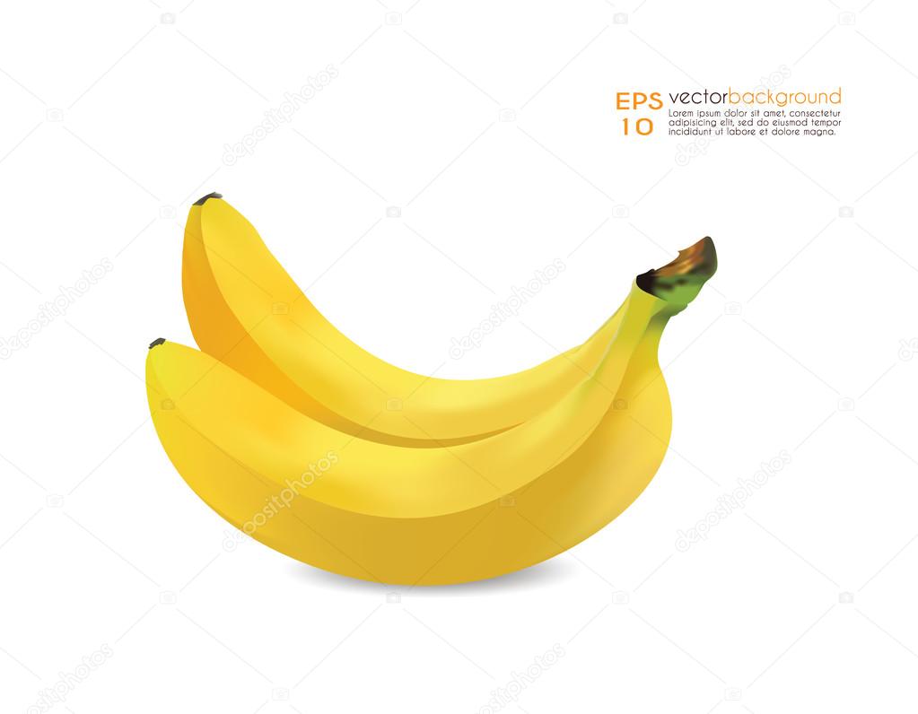 Two Bananas Vector Illustration.