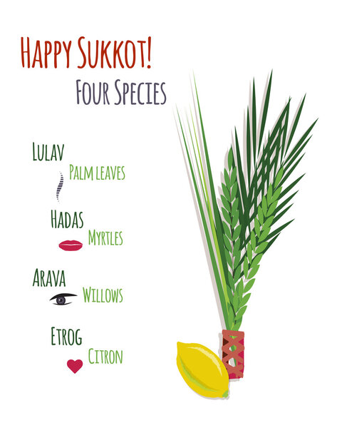 Sukkot Festival greeting card design vector template. Educational infographics.