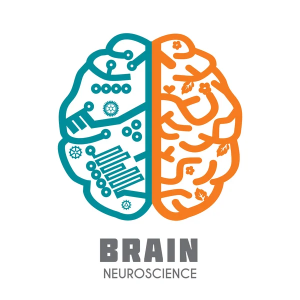 Modelo de design de sinais cerebrais para Neurociência e Medicina . —  Vetores de Stock
