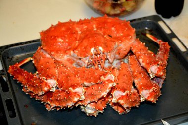 Izgara dev kral yengeci.