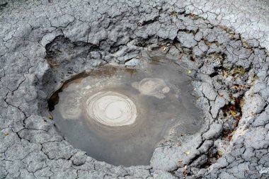 Kamçatka 'da kaynamış çamur gayzerleri.