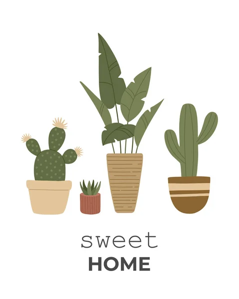 Houseplants in flower pot, beautiful exotic urban jungle decoration, hand drawn set with cacti, aloe, ficus garden. Sweet home quote for interior. Vector illustration isolated on white background