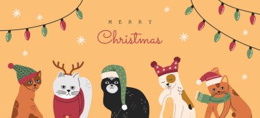 Bir dizi Noel kedisi portresi, şapkalı ve kazaklı komik kedi koleksiyonu. Geyik boynuzlu gri kedi yavrusu. El çizimi vektör illüstrasyonu, Yeni Yıl pankartı veya sarı arkaplanda izole edilmiş kart