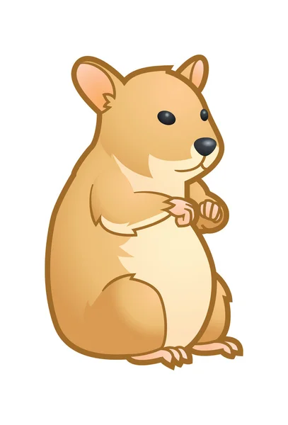 Hamster — Stockvector