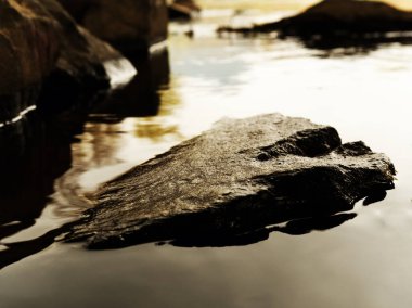 İlkbaharda gün batımında dinlenin fotoğrafçılıkla birlikte suda