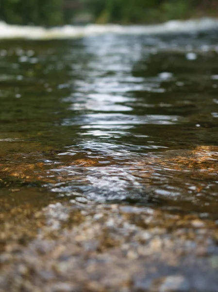 Um olhar mais atento aos reflexos da água na saxônia — Fotografia de Stock