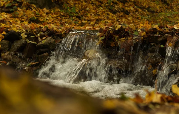 Ambiances extérieures dans jena dans la nature à l'automne — Photo