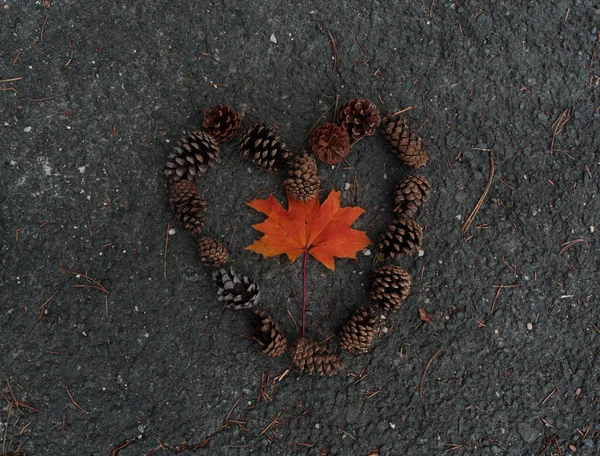 I love autumn in thuringia in germany — Stock Photo, Image