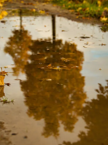 Reflecties in het water tijdens een wandeling in de herfst in Mecklenburg-Voor-Pommeren Duitsland Europa — Stockfoto