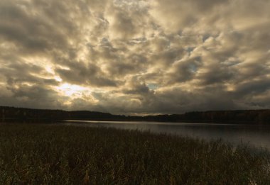 Mecklenburg-Batı Pomerania Almanya 'sında sonbaharda sazlıkla birlikte bir denizde gün batımı