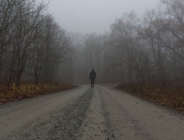 Yoğun siste Jenaer Ormanı 'na yürürken