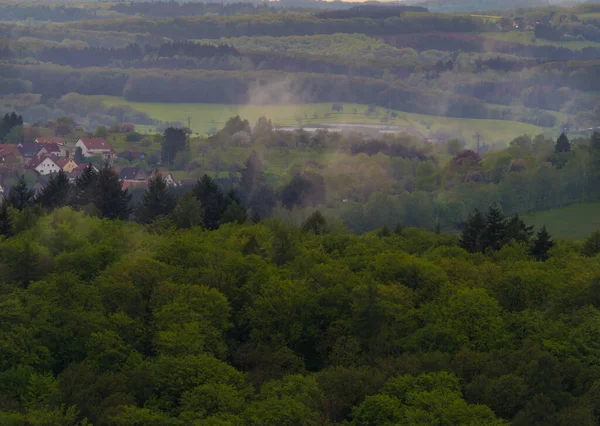 Лесной пейзаж с туманом в саамской Германии — стоковое фото