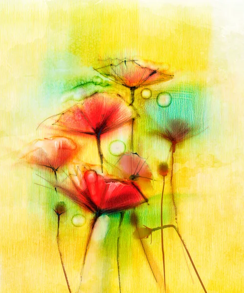 Acquerello rosso papavero pittura fiori — Foto Stock