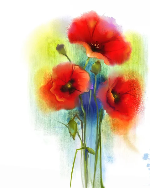 Suluboya kırmızı haşhaş çiçeği boyama — Stok fotoğraf