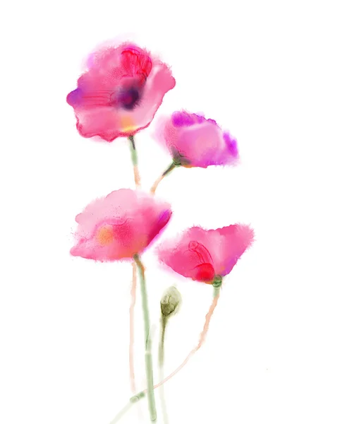 Suluboya boyama haşhaş çiçeği. Beyaz arka planda yalıtılmış kırmızı çiçekler. — Stok fotoğraf