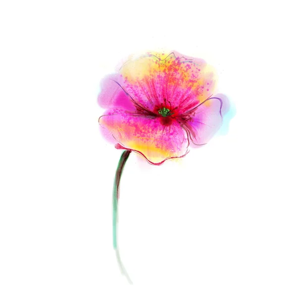 Aquarell Malerei Mohn Blume. isolierte rote Blume auf weißem Hintergrund. — Stockfoto