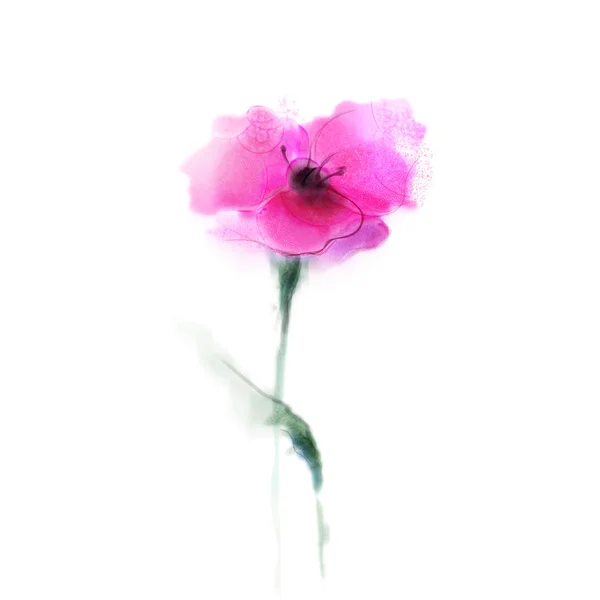 Watercolor painting poppy flower. Isolated red flower on white background. — Stock Photo, Image