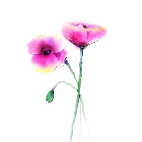 Ακουαρέλα ζωγραφική λουλουδιών. Απομονωμένα κόκκινα λουλούδια σε λευκό φόντο. — Φωτογραφία Αρχείου