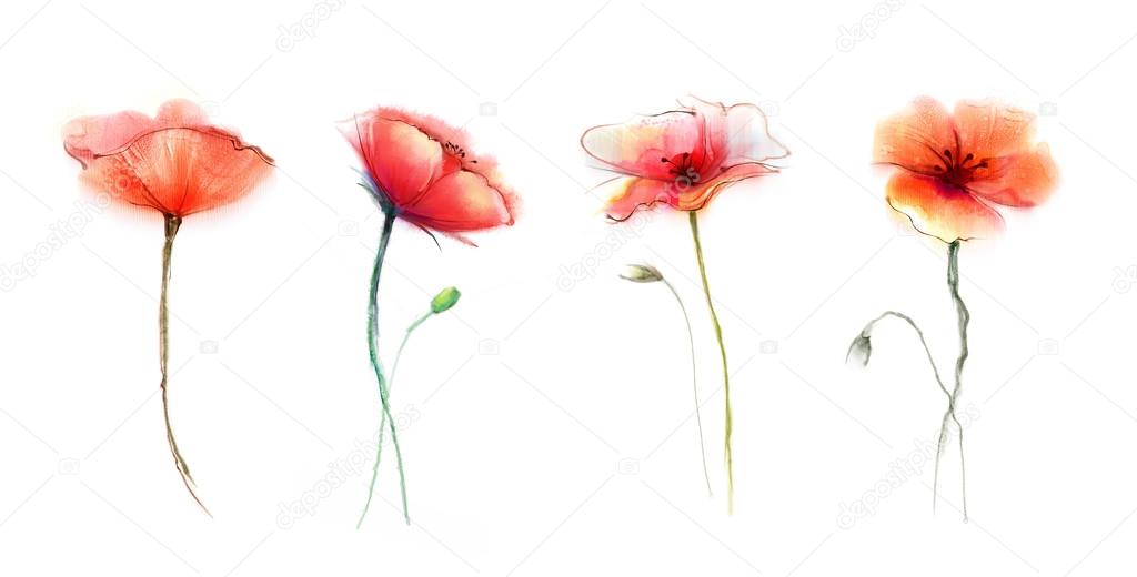 How To Paint Poppies In Watercolor Watercolor Painting Poppy